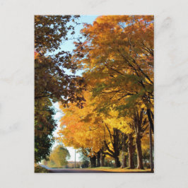 Herbstfarben auf der Landstraße Postkarte