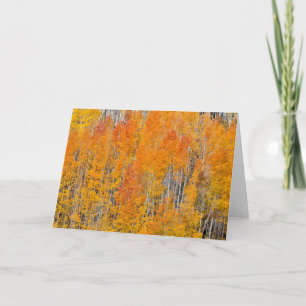 Herbstfarben auf Espenhainen Karte