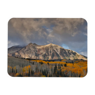 Herbstfarben der Espen, Keebler Pass Magnet