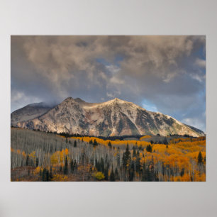 Herbstfarben der Espen, Keebler Pass Poster