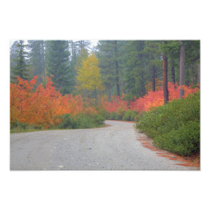 Herbstfarben der Wälder im Kaskade Fotodruck