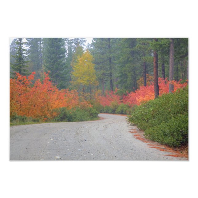 Herbstfarben der Wälder im Kaskade Fotodruck (Vorne)
