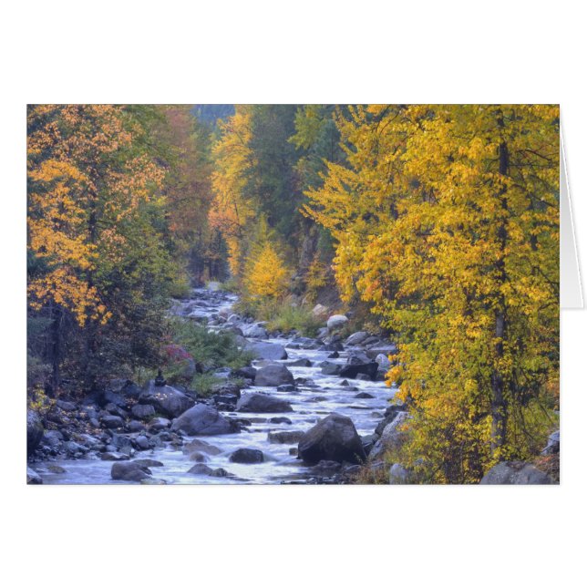 Herbstfarben der Wälder in der Kaskade 6 (Vorderseite (Horizontal))
