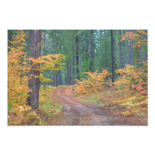 Herbstfarben der Wälder in der Kaskade 6 Fotodruck (Vorne)
