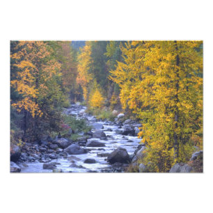 Herbstfarben der Wälder in The Cascade 4 Fotodruck