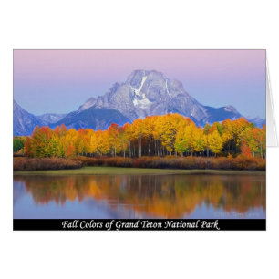 Herbstfarben des Grand Teton Nationalparks