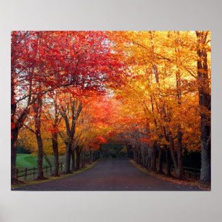 Herbstfarben drucken poster