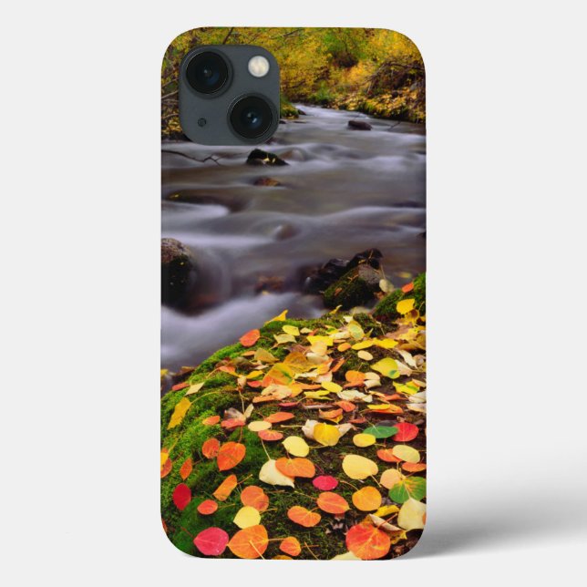 Herbstfarben entlang der McGee Creek Case-Mate iPhone Hülle (Rückseite)