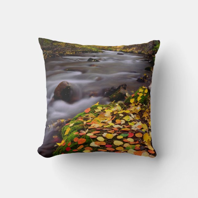 Herbstfarben entlang der McGee Creek Kissen (Vorderseite)