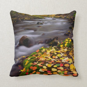 Herbstfarben entlang der McGee Creek Kissen