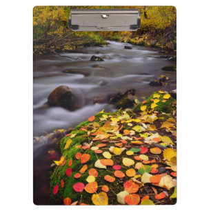 Herbstfarben entlang der McGee Creek Klemmbrett