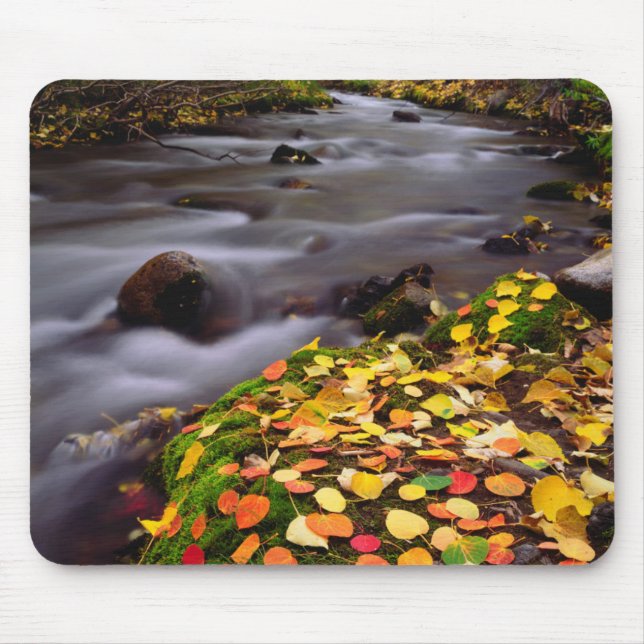 Herbstfarben entlang der McGee Creek Mousepad (Vorne)
