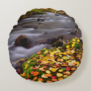 Herbstfarben entlang der McGee Creek Rundes Kissen