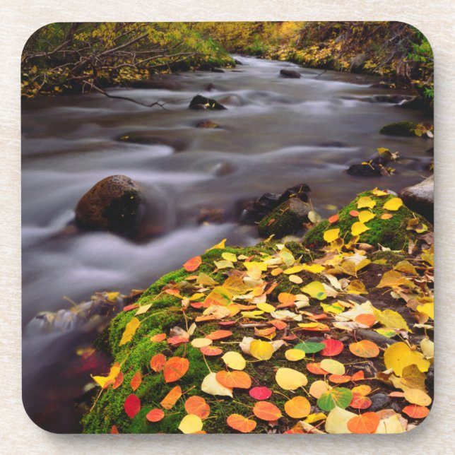 Herbstfarben entlang der McGee Creek Untersetzer (Vorderseite)