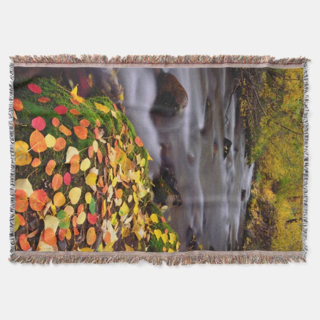 Herbstfarben entlang des McGee Creek Decke (Vorderseite)