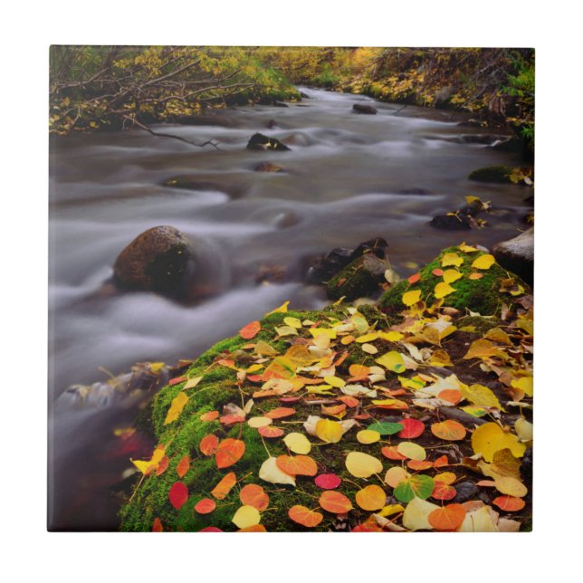 Herbstfarben entlang des McGee Creek Fliese (Vorderseite)