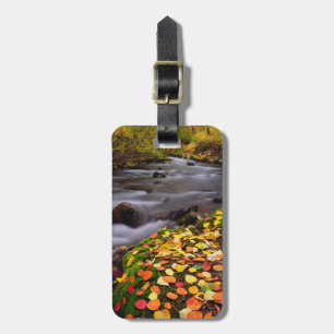 Herbstfarben entlang des McGee Creek Gepäckanhänger