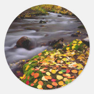 Herbstfarben entlang des McGee Creek Runder Aufkleber