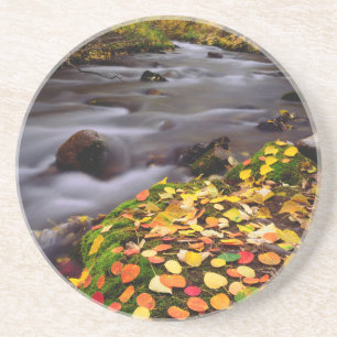 Herbstfarben entlang des McGee Creek Sandstein Untersetzer