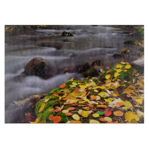 Herbstfarben entlang des McGee Creek Schneidebrett
