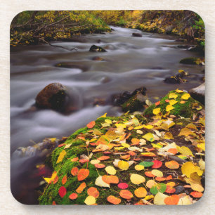 Herbstfarben entlang des McGee Creek Untersetzer
