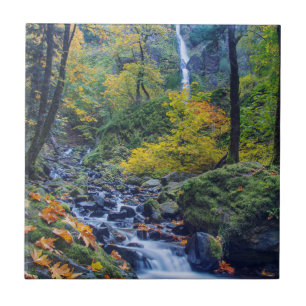 Herbstfarben entlang des Starvation Creek Falls 2 Fliese