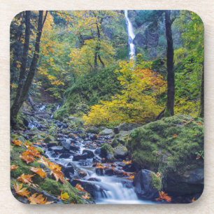 Herbstfarben entlang des Starvation Creek Falls 2 Untersetzer