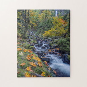 Herbstfarben entlang des Starvation Creek Falls Puzzle