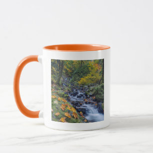 Herbstfarben entlang des Starvation Creek Falls Tasse