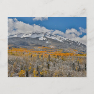 Herbstfarben Espen &    Rocky Mountains, Colorado Postkarte