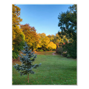 Herbstfarben Fotodruck