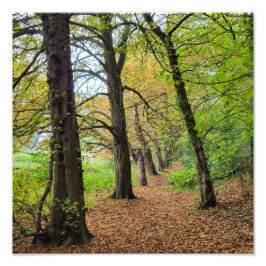 Herbstfarben Fotodruck