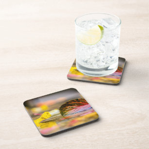 Herbstfarben Getränkeuntersetzer