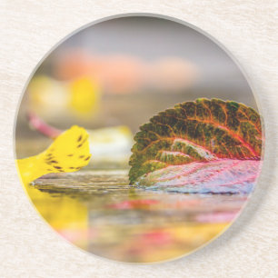 Herbstfarben Getränkeuntersetzer