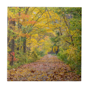 Herbstfarben im Independence State Park Fliese
