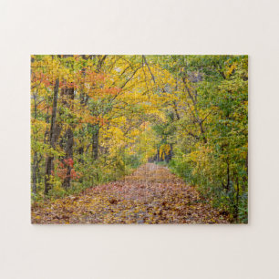 Herbstfarben im Independence State Park Puzzle