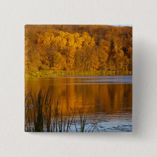Herbstfarben im Maplewood State Park in der Nähe v Button