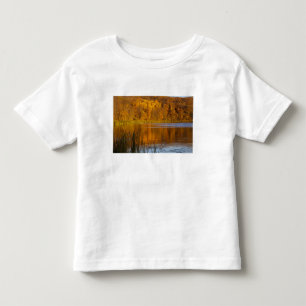 Herbstfarben im Maplewood State Park in der Nähe v Kleinkind T-shirt