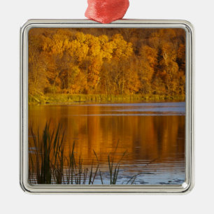Herbstfarben im Maplewood State Park in der Nähe v Silbernes Ornament