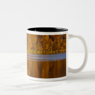 Herbstfarben im Maplewood State Park in der Nähe v Zweifarbige Tasse