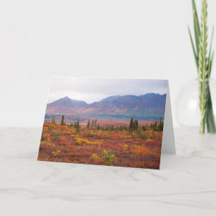 Herbstfarben im Nationalpark Denali, Alaska Karte