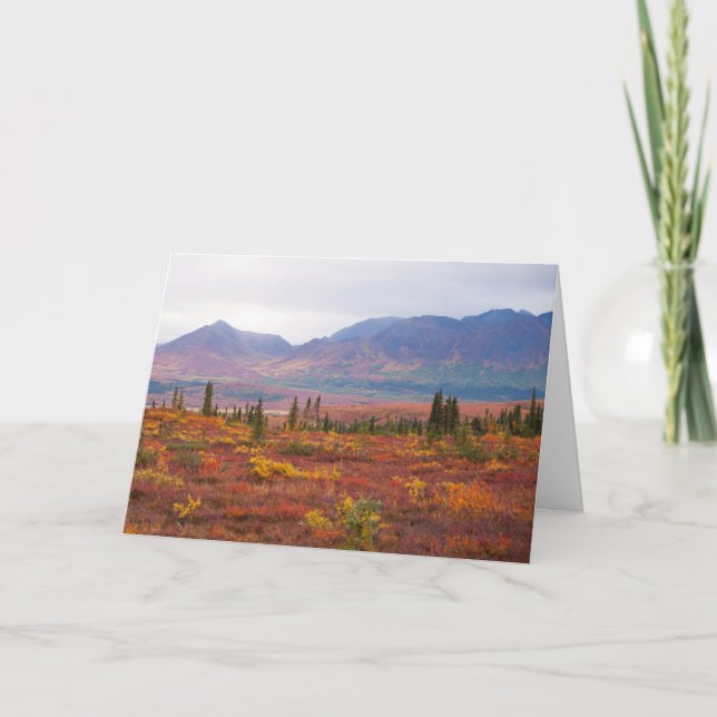 Herbstfarben im Nationalpark Denali, Alaska Karte (Vorderseite)