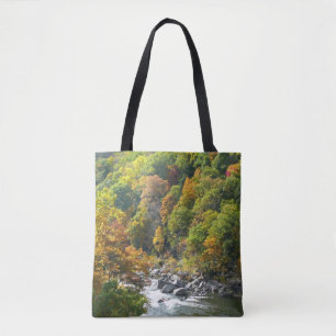Herbstfarben im Ohiopyle State Park