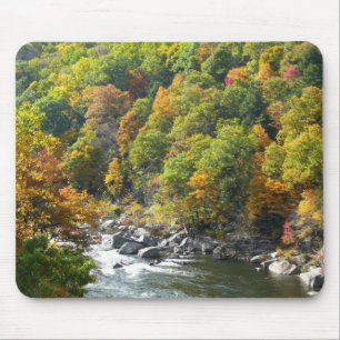 Herbstfarben im Ohiopyle State Park Mousepad