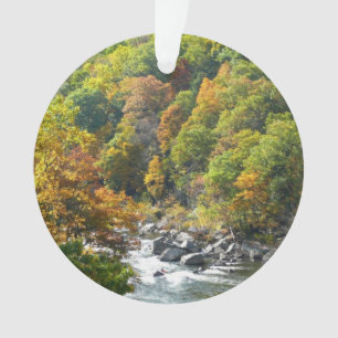 Herbstfarben im Ohiopyle State Park Ornament