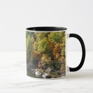 Herbstfarben im Ohiopyle State Park Tasse