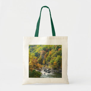 Herbstfarben im Ohiopyle State Park Tragetasche