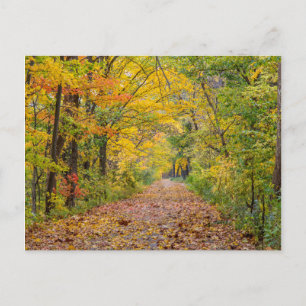 Herbstfarben im Staat Park Postkarte