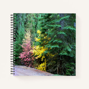 Herbstfarben in den Bergen.... Notizbuch