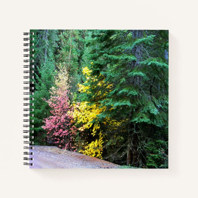 Herbstfarben in den Bergen.... Notizbuch (Vorderseite)